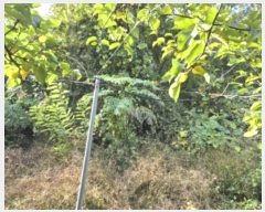  2024Ÿ��40026 ��� ���� ������ �������� ��4-9      ����(�Ӿ�)���