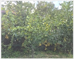  2024Ÿ��40026 ��� ���� ������ �������� ��4-9      ����(�Ӿ�)���