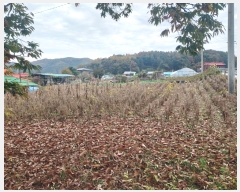  2024Ÿ��40040  �����