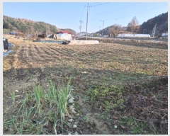  2024Ÿ��40040  �����