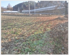  2024Ÿ��40040  �����