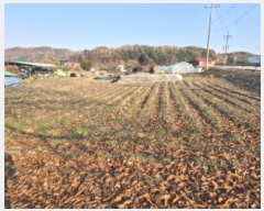  2024Ÿ��40040  �����