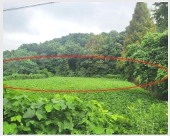  2024Ÿ��3911  ����