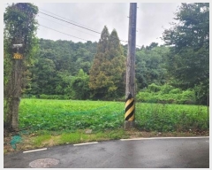  2024Ÿ��3911  ����