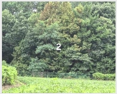  2024Ÿ��3911  ����