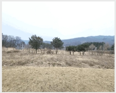  2024Ÿ��5351 ��� ���� ����� ������ 561-3      ����(��1)���