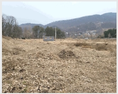  2024Ÿ��5351 ��� ���� ����� ������ 561-3      ����(��1)���