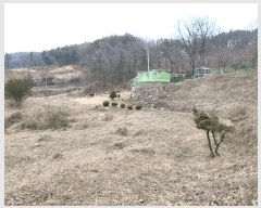  2024Ÿ��5351 ��� ���� ����� ������ 561-3      ����(��1)���