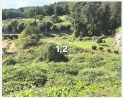  2024Ÿ��5351 ��� ���� ����� ������ 561-3      ����(��1)���