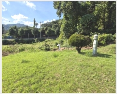  2024Ÿ��5351 ��� ���� ����� ������ 561-3      ����(��1)���