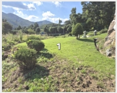  2024Ÿ��5351 ��� ���� ����� ������ 561-3      ����(��1)���