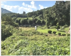  2024Ÿ��5351 ��� ���� ����� ������ 561-3      ����(��1)���