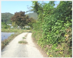  2024Ÿ��5603 ��� ���� �絿�� ��긮 1047      ����(��)���