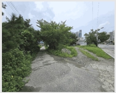  2024Ÿ��36904 ��� ���� ����� ������ ��35      ����(�Ӿ�)���