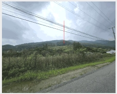  2024Ÿ��36904 ��� ���� ����� ������ ��35      ����(�Ӿ�)���