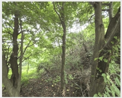  2024Ÿ��36904 ��� ���� ����� ������ ��35      ����(�Ӿ�)���