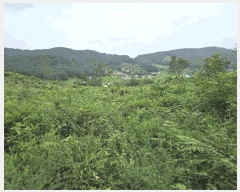  2024Ÿ��36904 ��� ���� ����� ������ ��35      ����(�Ӿ�)���