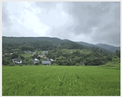  2024Ÿ��36904 ��� ���� ����� ������ ��35      ����(�Ӿ�)���