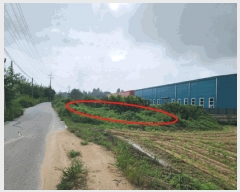  2024Ÿ��38009 ��� ��õ�� �ι��� �ƹ̸� 1-15      ����(��1)���