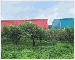  2024Ÿ��38009 ��� ��õ�� �ι��� �ƹ̸� 1-15      ����(��1)���