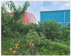  2024Ÿ��38009 ��� ��õ�� �ι��� �ƹ̸� 1-15      ����(��1)���