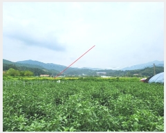  2024Ÿ��38245  ����