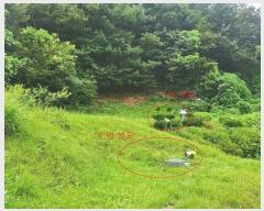  2024Ÿ��38245  ����