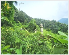  2024Ÿ��38245  ����