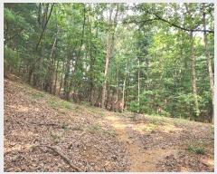  2024Ÿ��38245  ����