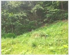  2024Ÿ��38245  ����