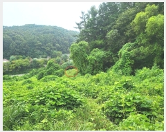  2024Ÿ��38245  ����