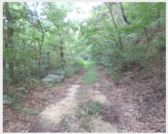  2024Ÿ��39071  �Ӿ߰��