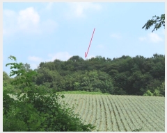  2024Ÿ��39071  �Ӿ߰��