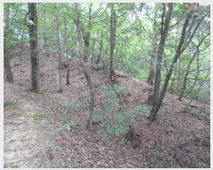  2024Ÿ��39071  �Ӿ߰��