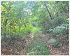  2024Ÿ��39071  �Ӿ߰��