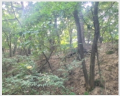  2024Ÿ��39071  �Ӿ߰��