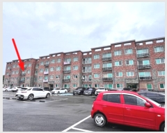  2024Ÿ��39194  �ټ���(����)���