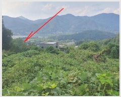  2024Ÿ��39347 ��� ���� ������ ��ȣ�� 890-7      ����(����)���