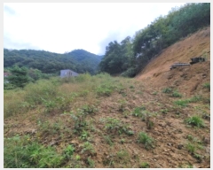  2024Ÿ��39347 ��� ���� ������ ��ȣ�� 890-7      ����(����)���