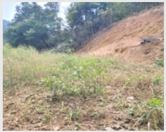  2024Ÿ��39347 ��� ���� ������ ��ȣ�� 890-7      ����(����)���