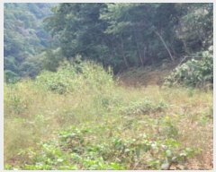  2024Ÿ��39347 ��� ���� ������ ��ȣ�� 890-7      ����(����)���