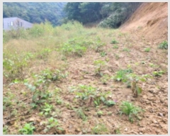  2024Ÿ��39347 ��� ���� ������ ��ȣ�� 890-7      ����(����)���