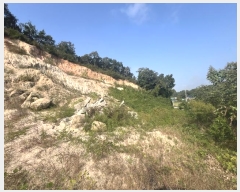  2024Ÿ��39507 ��� ���ֽ� ��õ�� ������ 875-2      ����(�Ӿ�)���