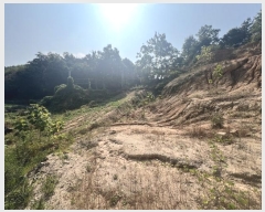  2024Ÿ��39507 ��� ���ֽ� ��õ�� ������ 875-2      ����(�Ӿ�)���