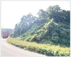  2024Ÿ��39507 ��� ���ֽ� ��õ�� ������ 875-2      ����(�Ӿ�)���