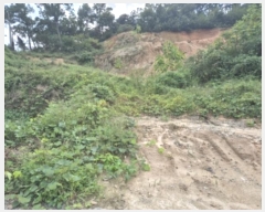  2024Ÿ��39507 ��� ���ֽ� ��õ�� ������ 875-2      ����(�Ӿ�)���