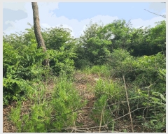  2024Ÿ��36621 ��� ���� ��õ�� ��õ�� 275-11      ����(�Ӿ�)���