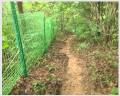  2024Ÿ��36621 ��� ���� ��õ�� ��õ�� 275-11      ����(�Ӿ�)���