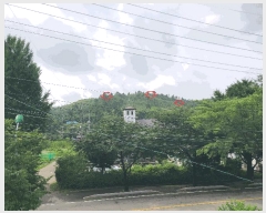  2024Ÿ��36621 ��� ���� ��õ�� ��õ�� 275-11      ����(�Ӿ�)���