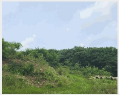  2024Ÿ��36621 ��� ���� ��õ�� ��õ�� 275-11      ����(�Ӿ�)���